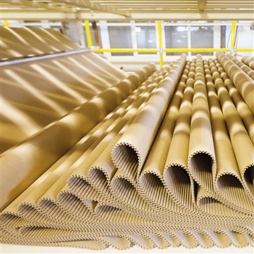AI in Molded Pulp Production: älykkäämpi valmistus, parempi pakkaus